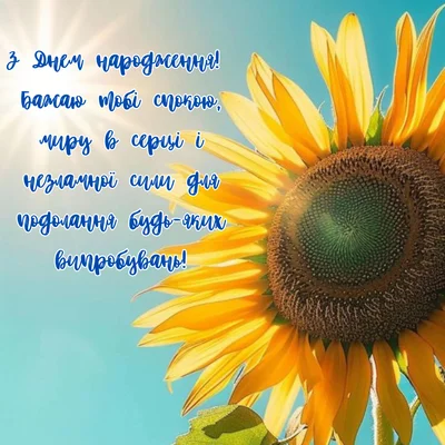 Жовтий соняшник на блакитному небі з привітанням.