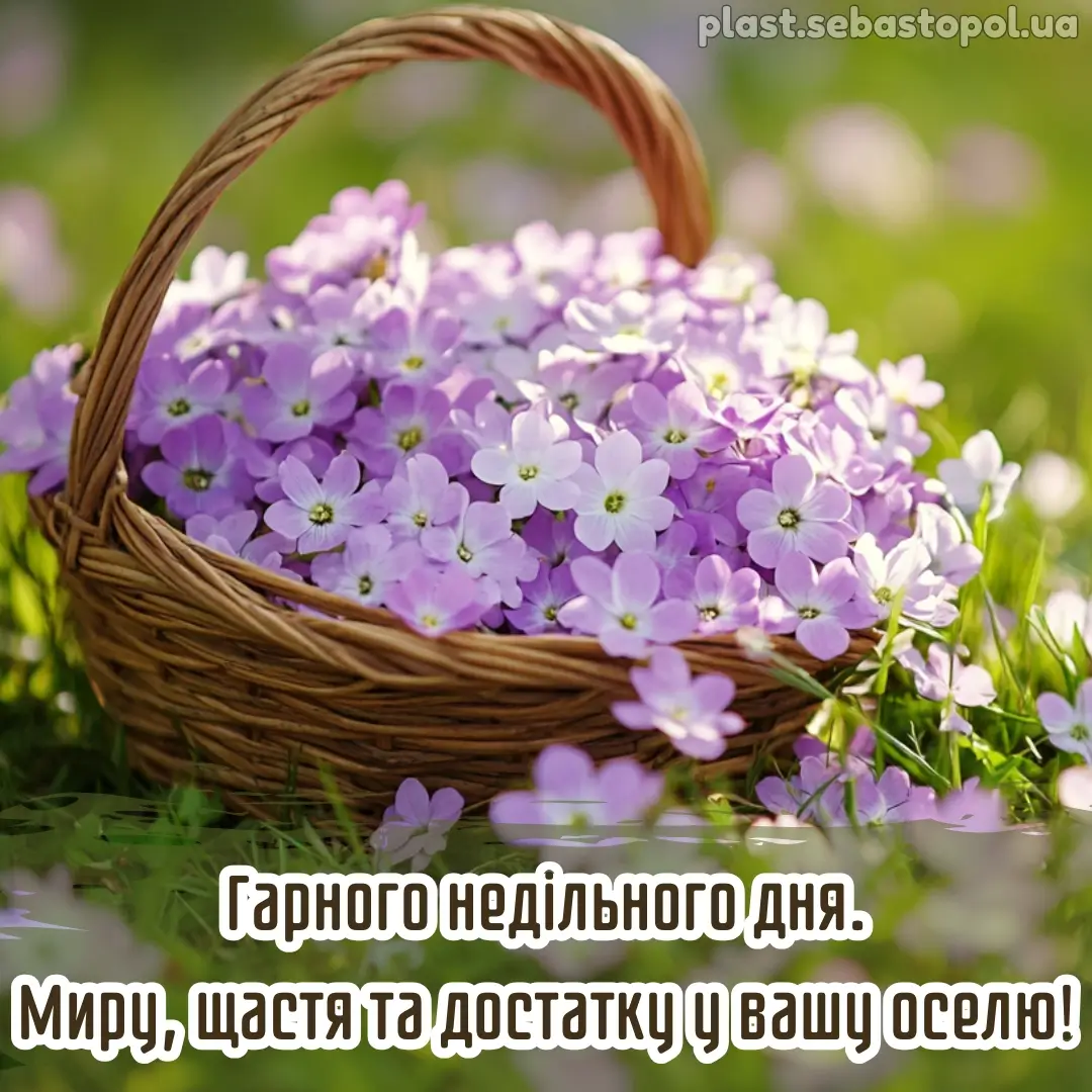 Корзина з фіолетових квітів на траві, привітання з неділею.