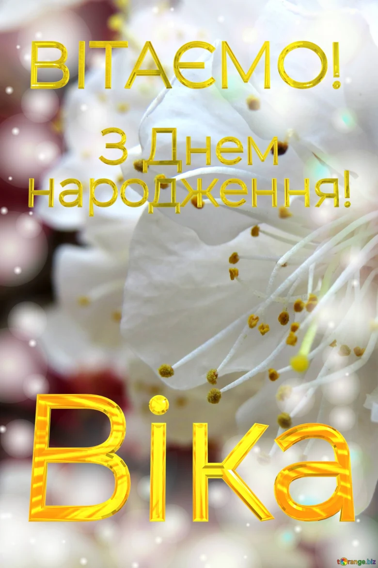 Привітання з днем народження Віка на фоні білих квітів