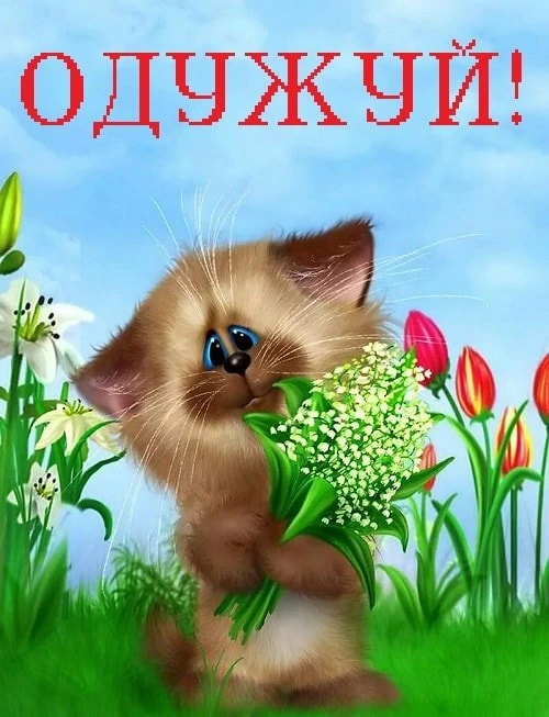 Миле котяча з букетом, побажання швидкого одужання