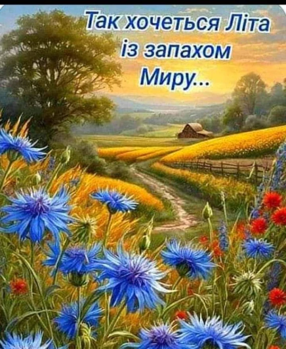 Квіти та полонина з побажаннями миру на перший день літа