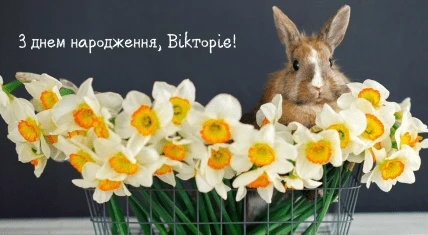 Зірка з кроликом та тюльпанами для привітання.