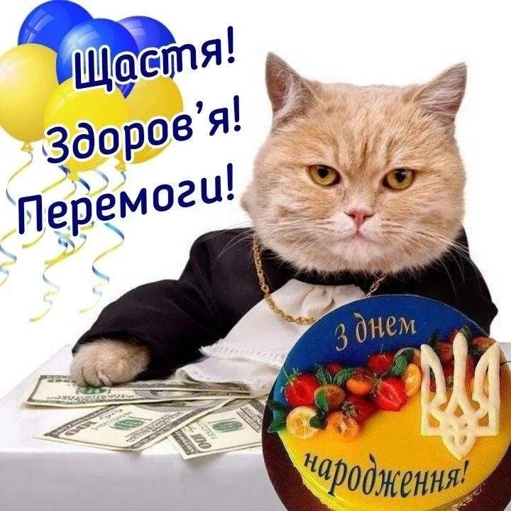 Кіт у святковому одязі з тортком та кульками на день народження.