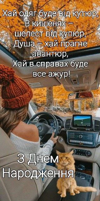 Жінка за кермом з котом на задньому сидінні під час осінь