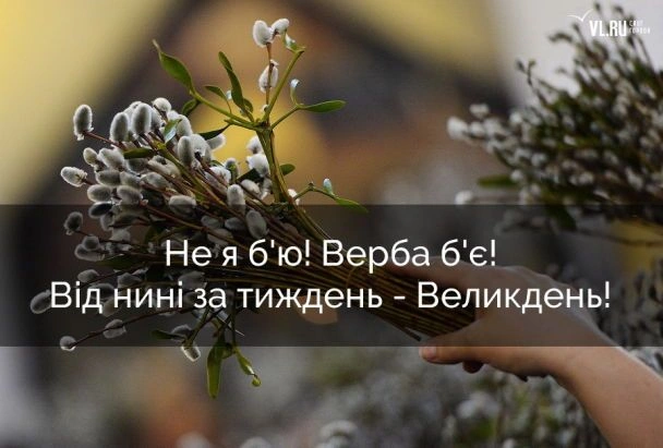 Рука тримає гілку верби з катками та українським привітанням.